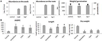 Aerial Warfare: A Volatile Dialogue between the Plant Pathogen Verticillium longisporum and Its Antagonist Paenibacillus polymyxa